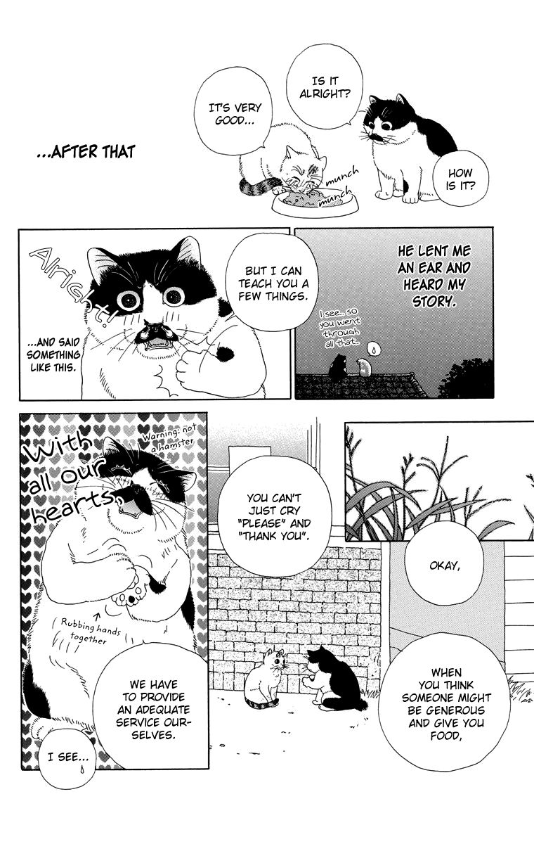 Zoccha no Nichijou Chapter 9 page 8 - Chapter 9 : How To Receive Good Food